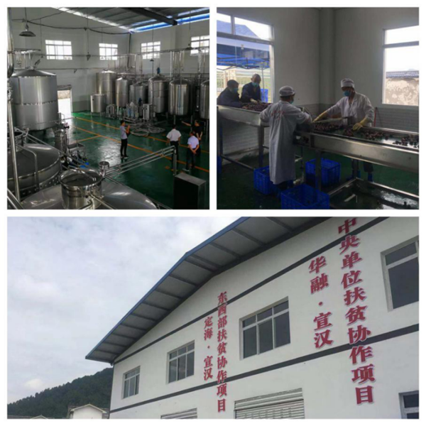 中國華融：創(chuàng)新扶貧模式 整合金融資源 全力以赴確保高質(zhì)量完成脫貧攻堅任務