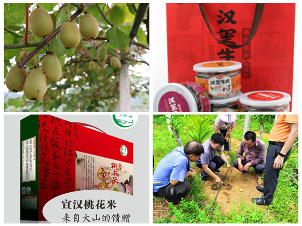 中國華融：創(chuàng)新扶貧模式 整合金融資源 全力以赴確保高質(zhì)量完成脫貧攻堅任務